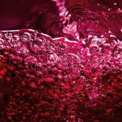 Beverages 14848 Tate and Lyle