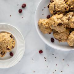 Cranberry Protein Cookie with NSA Chocolate Drizzle