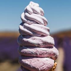 Ube Swirl Cone