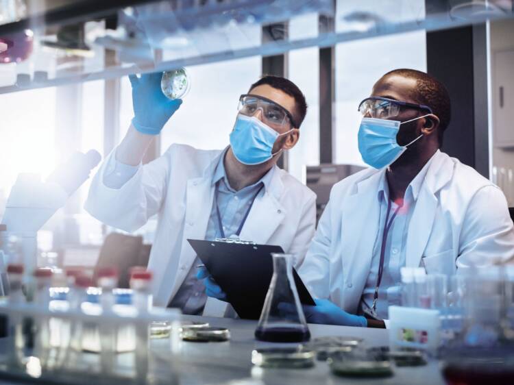 Scientist 14822 Tate and Lyle